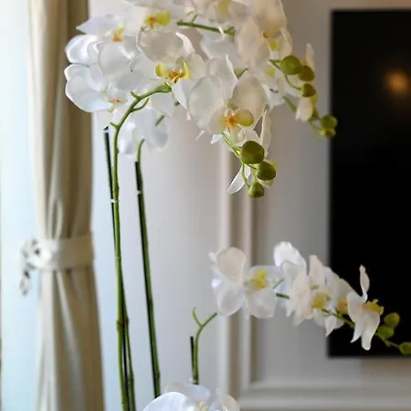 Royal Primera Apartament Zadar