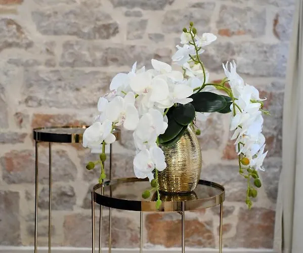 Royal Primera * Задар